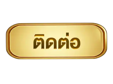 แบนเนอร์ 12