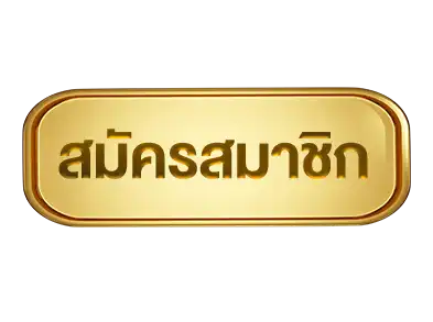 แบนเนอร์ 4